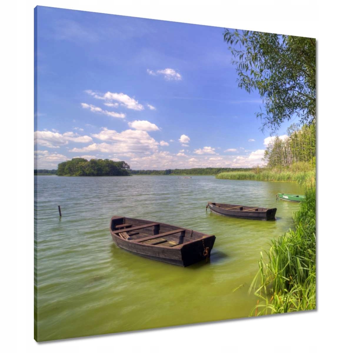 Obrazy 80x80 Spacer Wolsztyński park