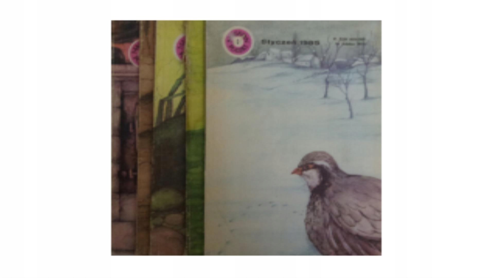 Magazyn Polski 1,5,7,9,12 z 1985 roku