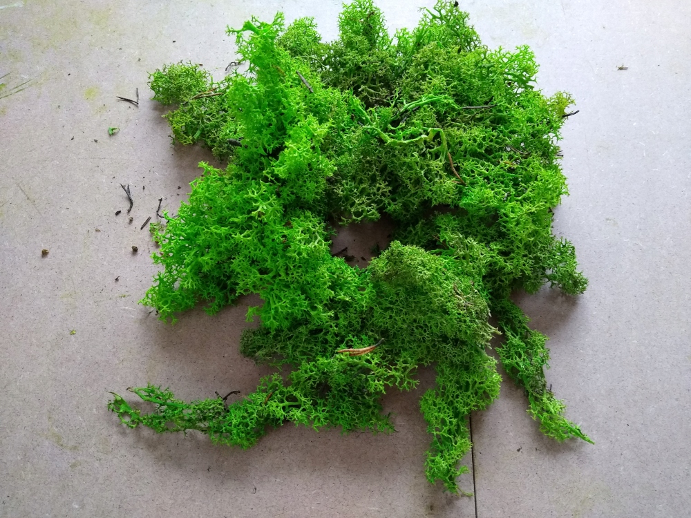 Skrawki z mchu chrobotka Jasna Zieleń Karton 1kg Marka inna