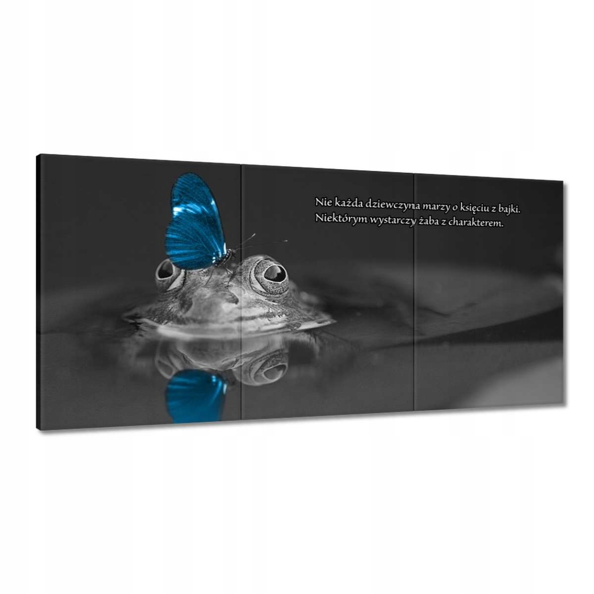 Obrazy 180x90 Žaba s charakterom
