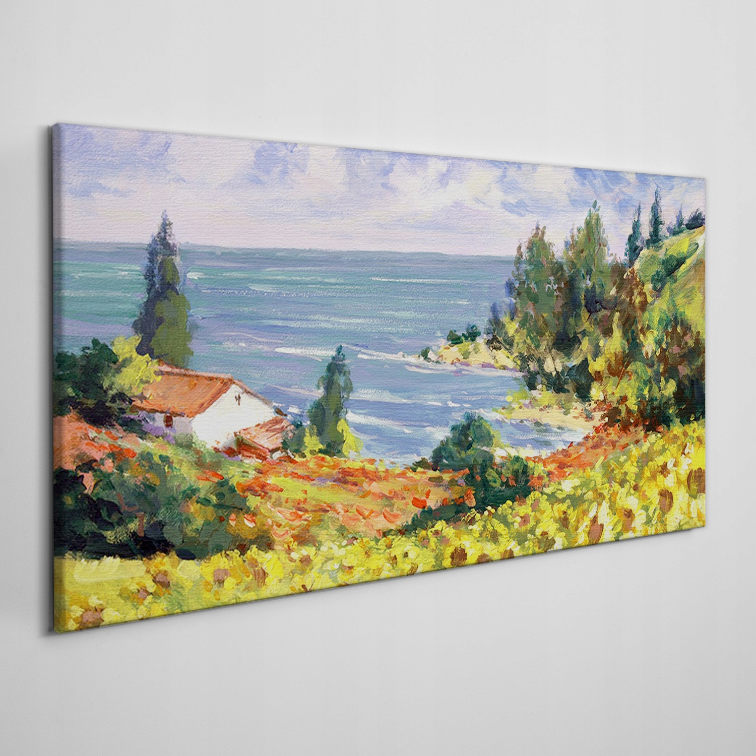 

Obraz na płótnie Kwiaty wybrzeże niebo 140x70 cm