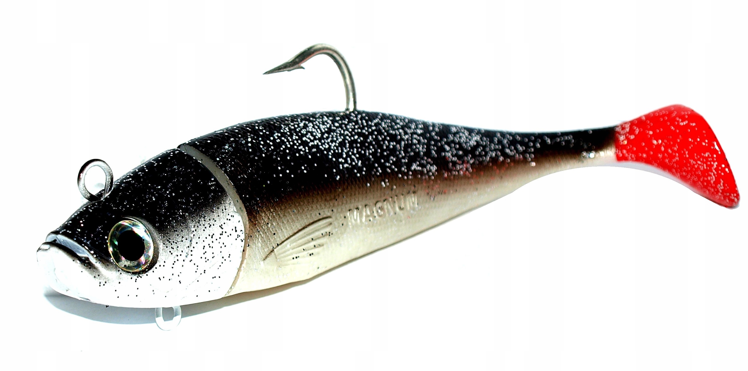 Guma morska zbrojona, głowa ryby 580g, 26cm