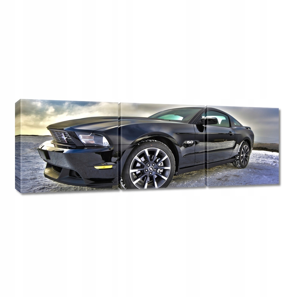 

Obrazy 120x40 Ford Mustang w zimie