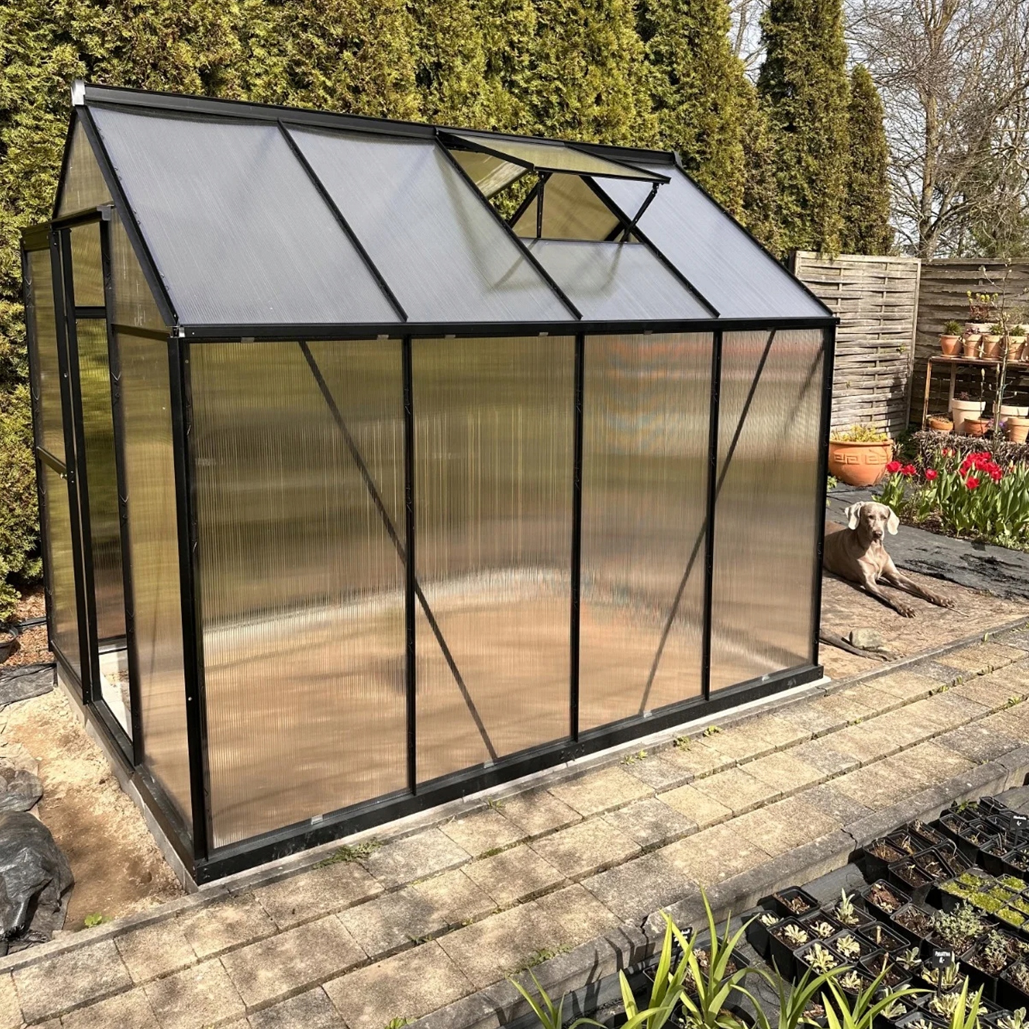 Ce686fb047ee8c42ab8f6ad48507