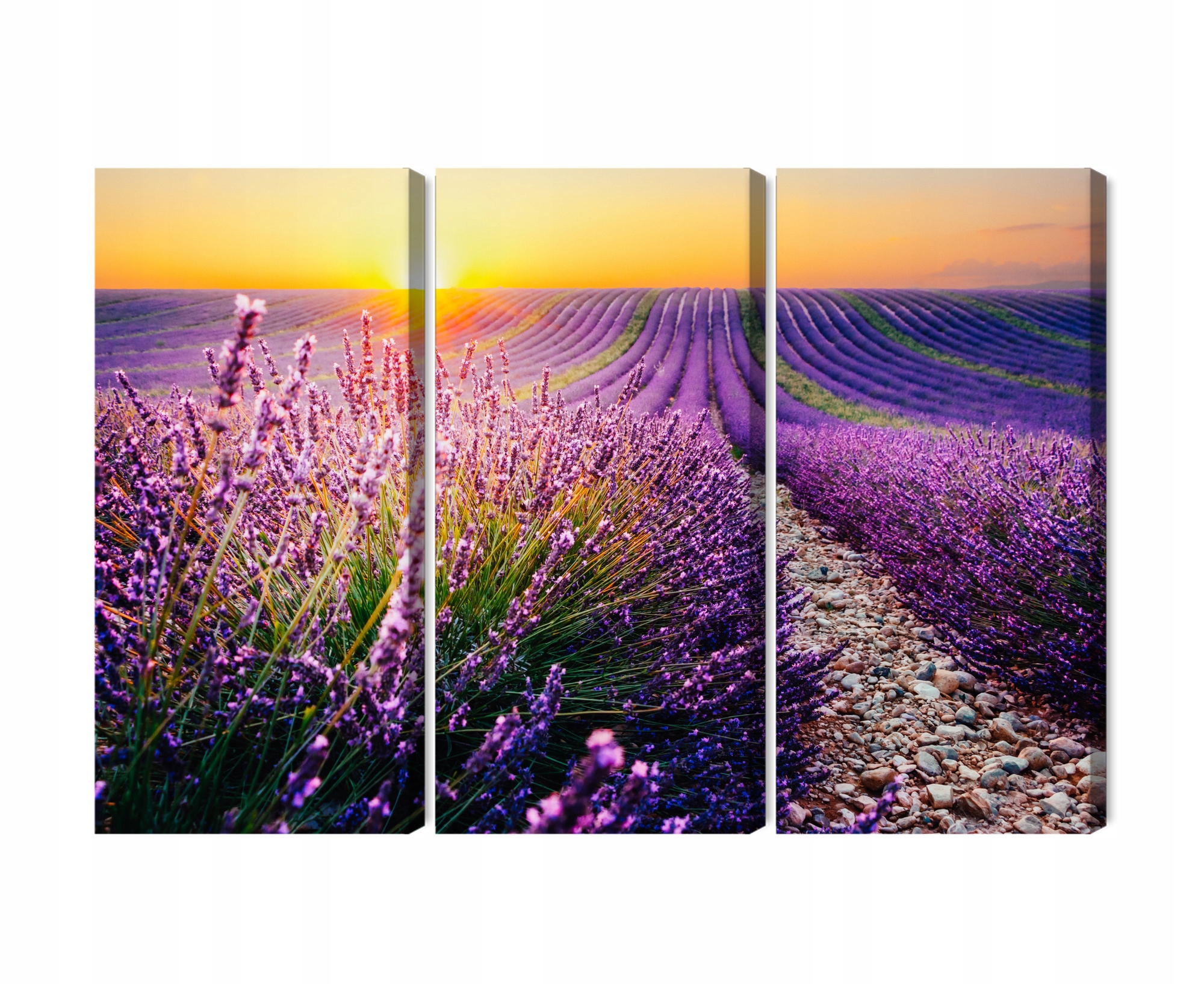 Nový obraz Viacdielne levanduľové pole o západe slnka 3D Canvas 120x80