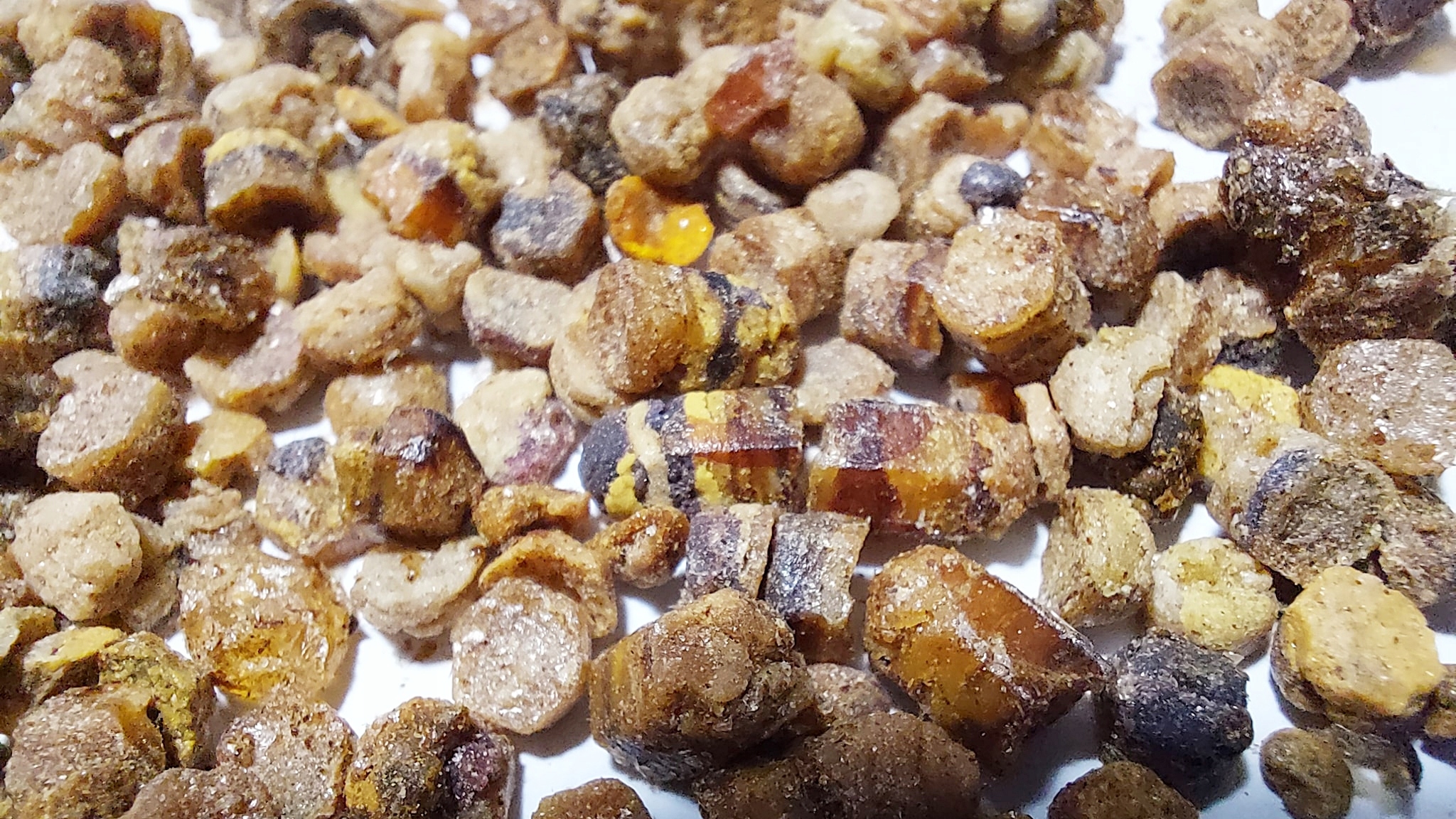 Levně Perga je zdravější než Včelí Pyl – Čerstvé, Nevysušené