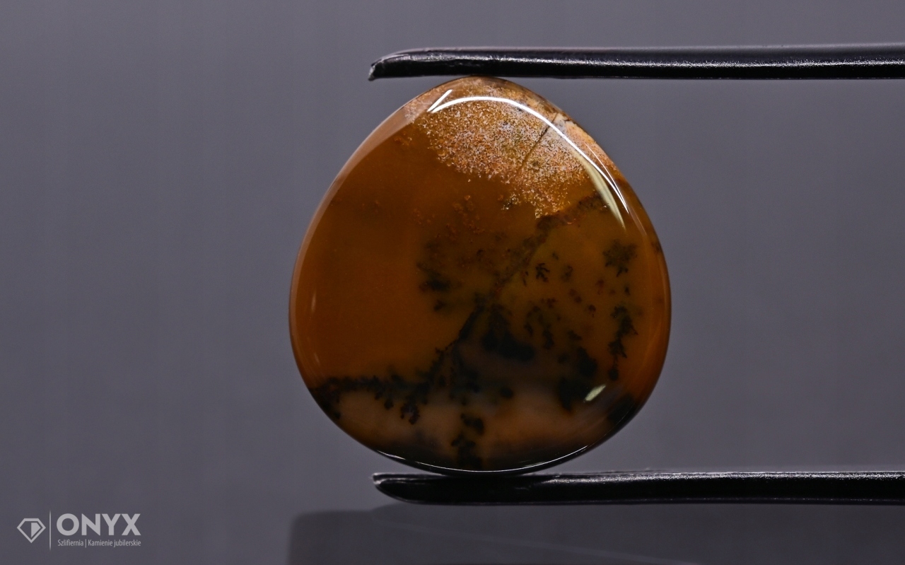 Dendritový achát z Kazachstánu konvexní plaketa slza