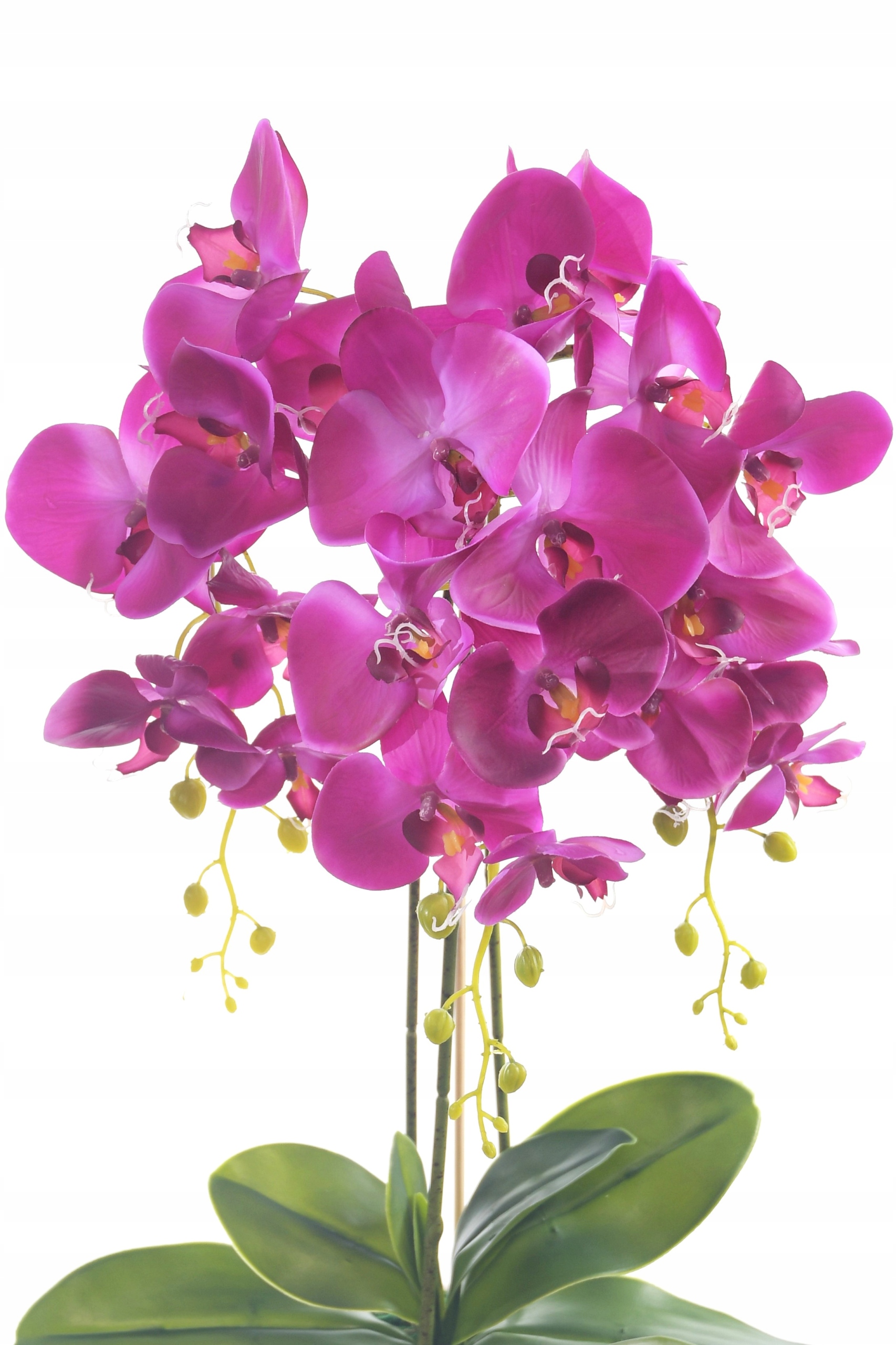 STORCZYK SZTUCZNY SZTUCZNE STORCZYKI SILIKONOWY Marka e-Robson