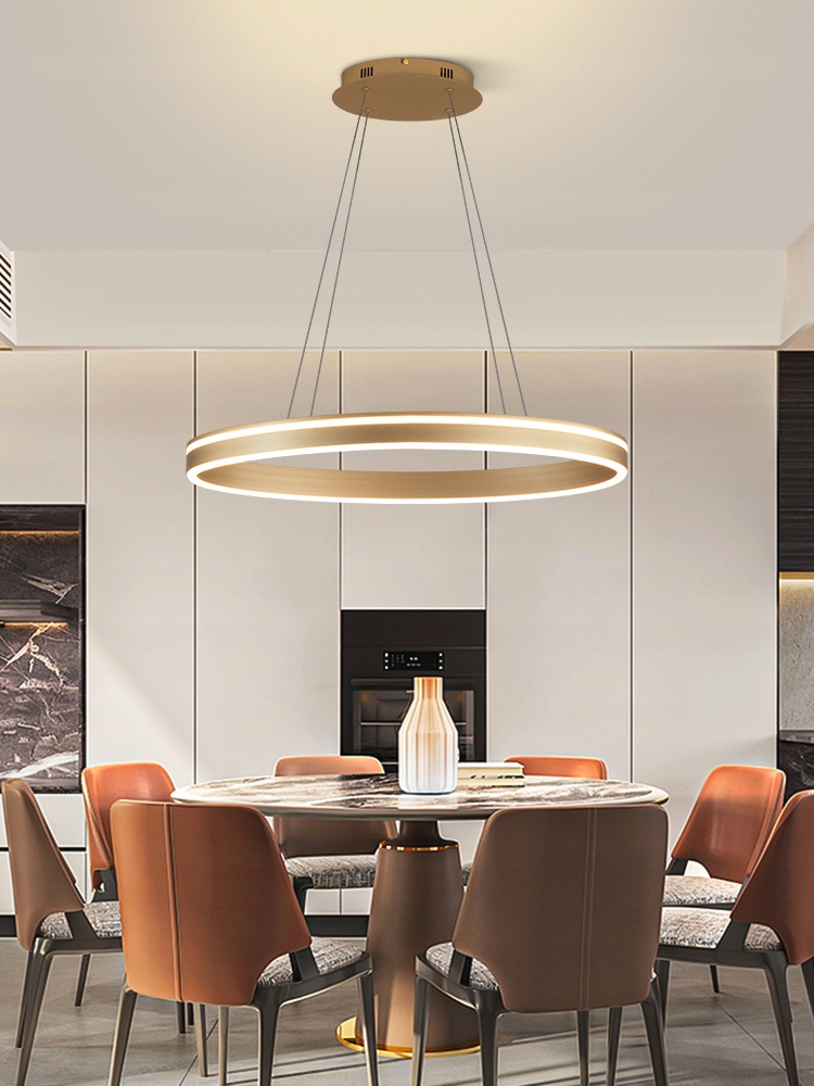 Elegantní samostatná závěsná lampa Vivies ve tvaru oválu