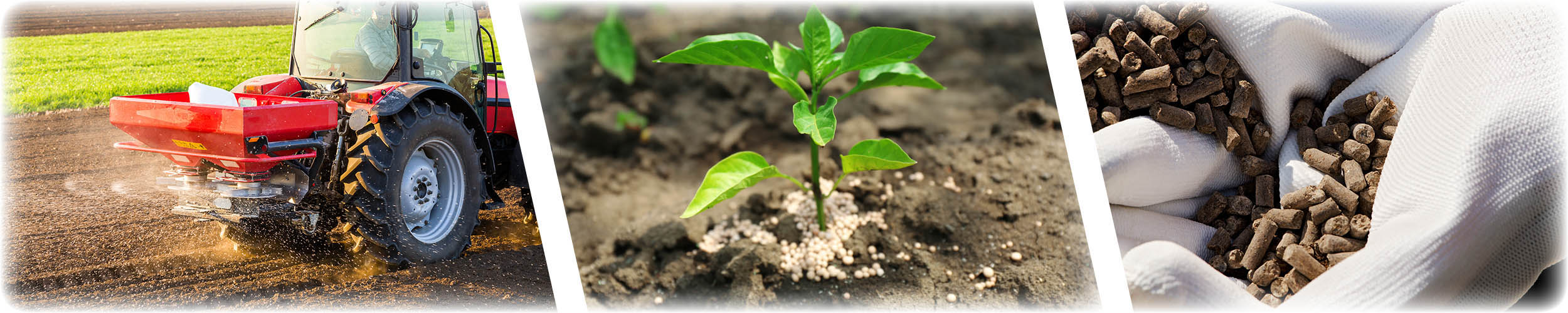 PODŁOŻE ZIEMIA DO STORCZYKÓW Z NAWOZEM 3L BIOVITA Rodzaj ziemia uniwersalna