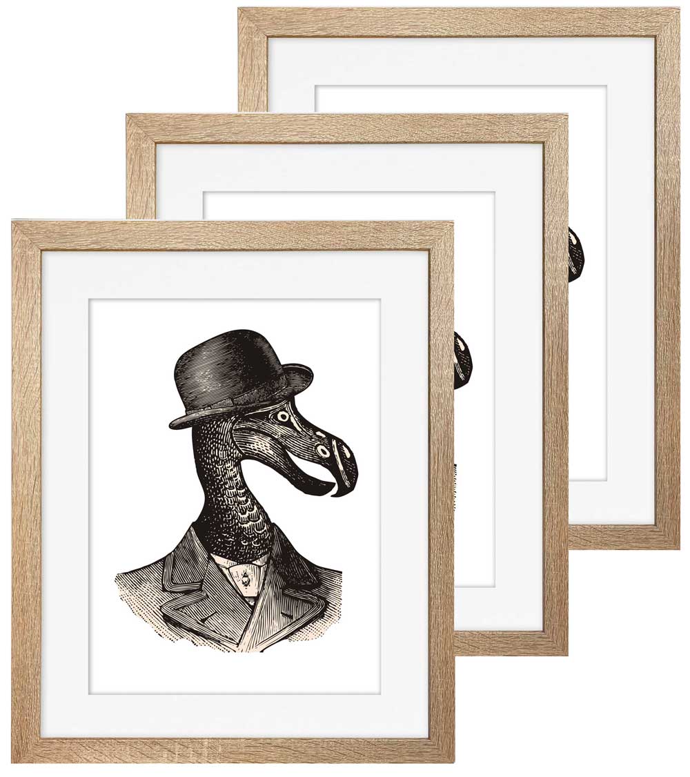 

Zestaw 3 ramek 50x70 z passe Pandora sonoma