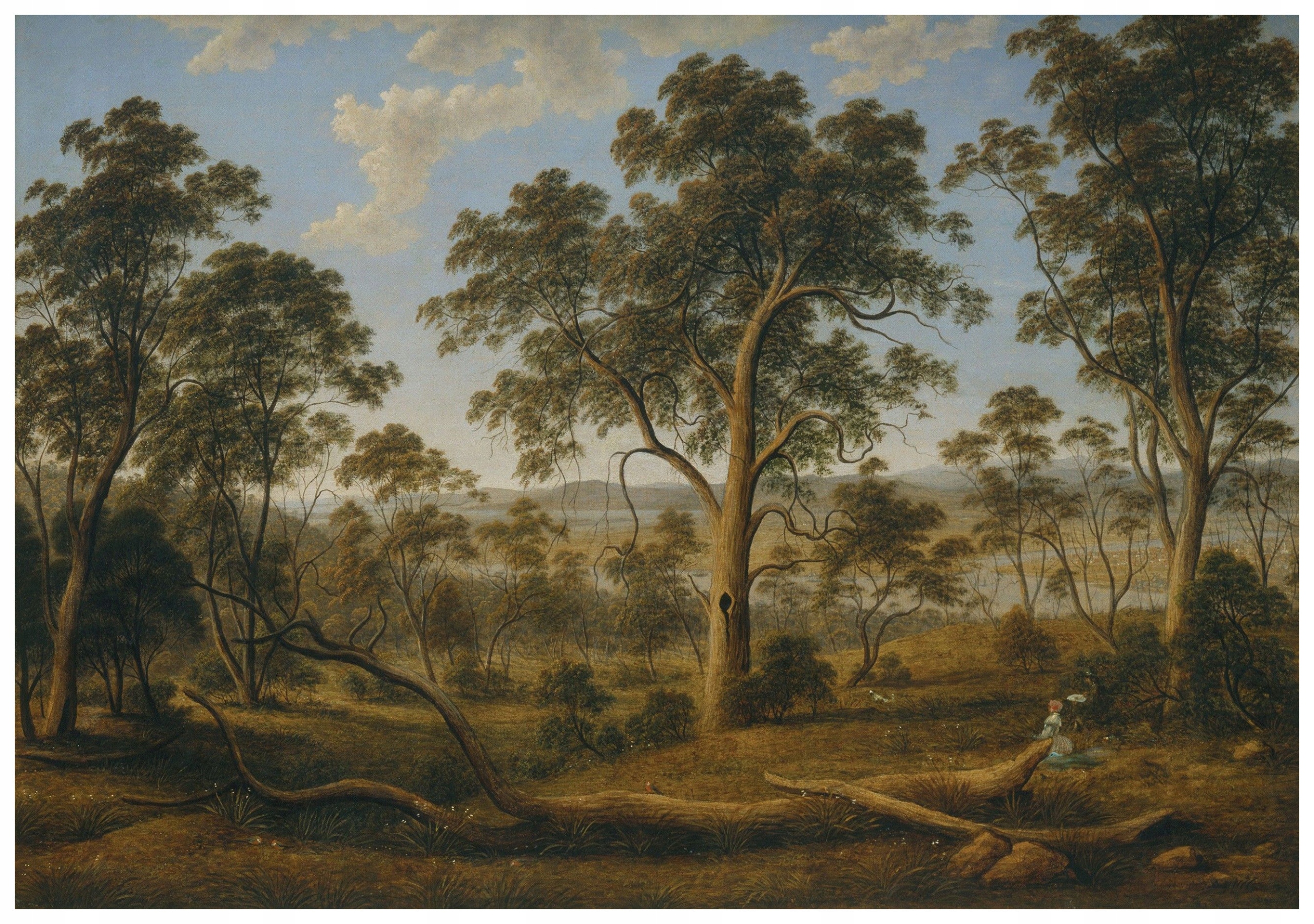 Vliesová fototapeta Les Řeka hory příroda panorama 312x219 lepidlo