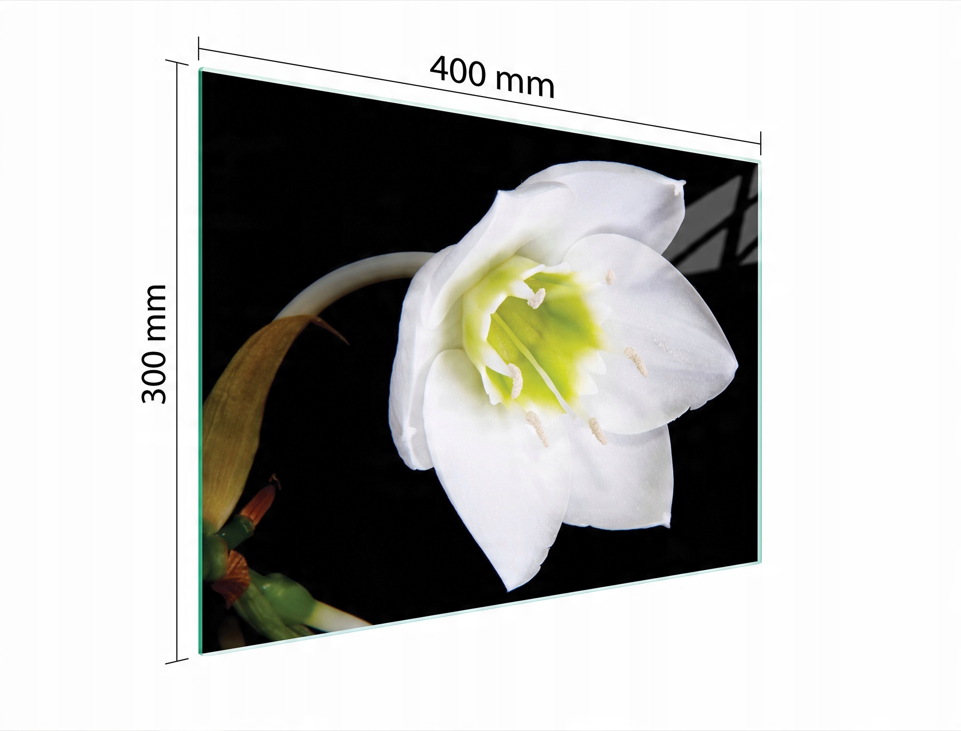 

Szklana Deska Do Krojenia 40x30 Orchidea