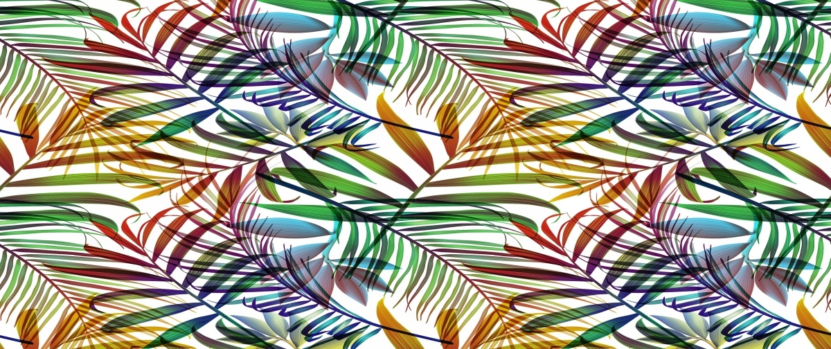 

Fototapeta Flizelinowa Liście palmy 250x104