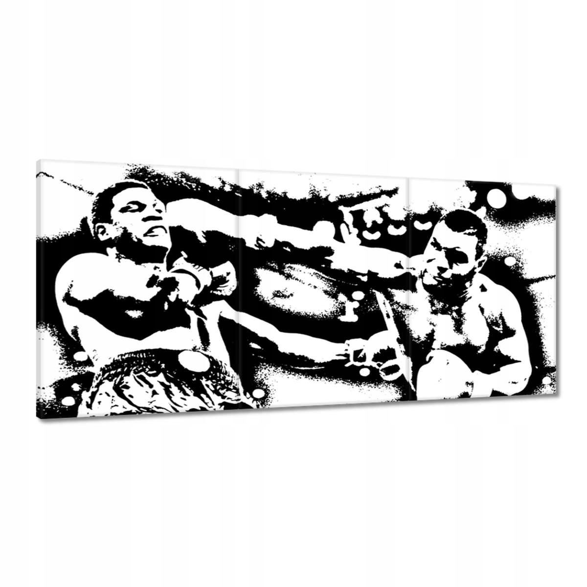 Obrazy 210x100 Mike Tyson Box Boj