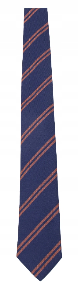 Selected Homme Slhdan Kravata