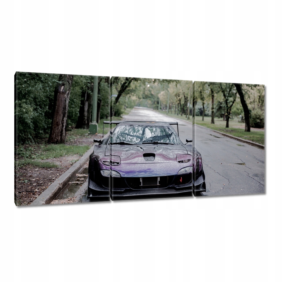 

Obrazy 120x60 Auto Samochód Fura Sport