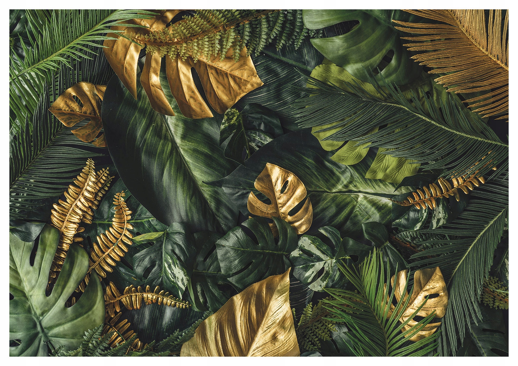 Vliesová fototapeta Monstera Palmy Tropické listy 350x250 lepidlo