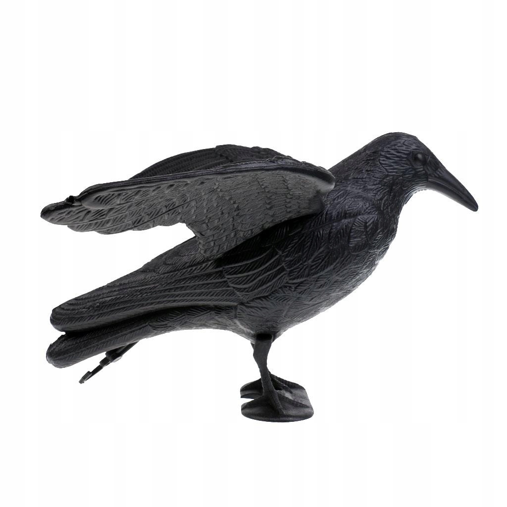 1 para wysokiej jakości żywego do Długość inna