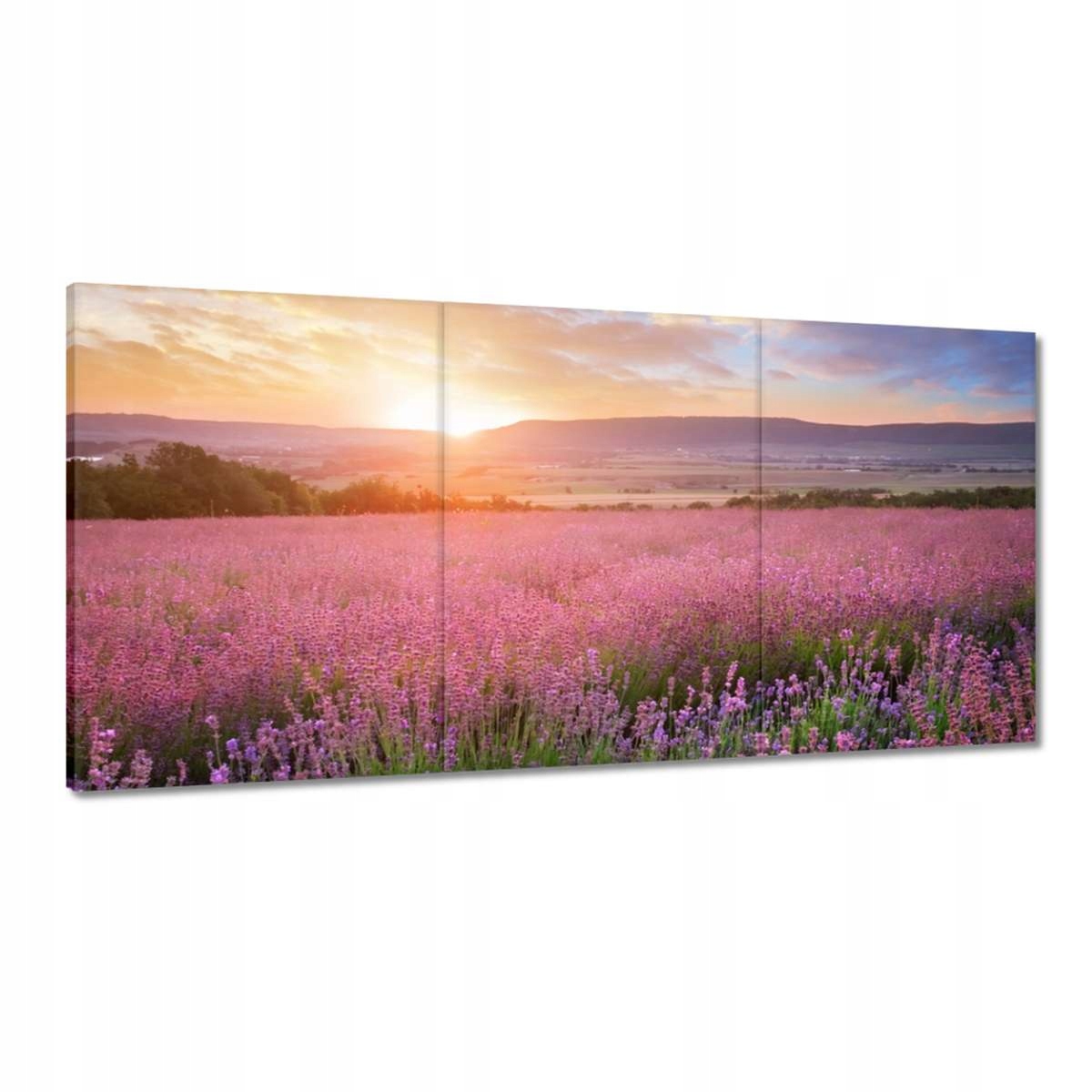 Obrazy 120x60 Zázračný západ slunce