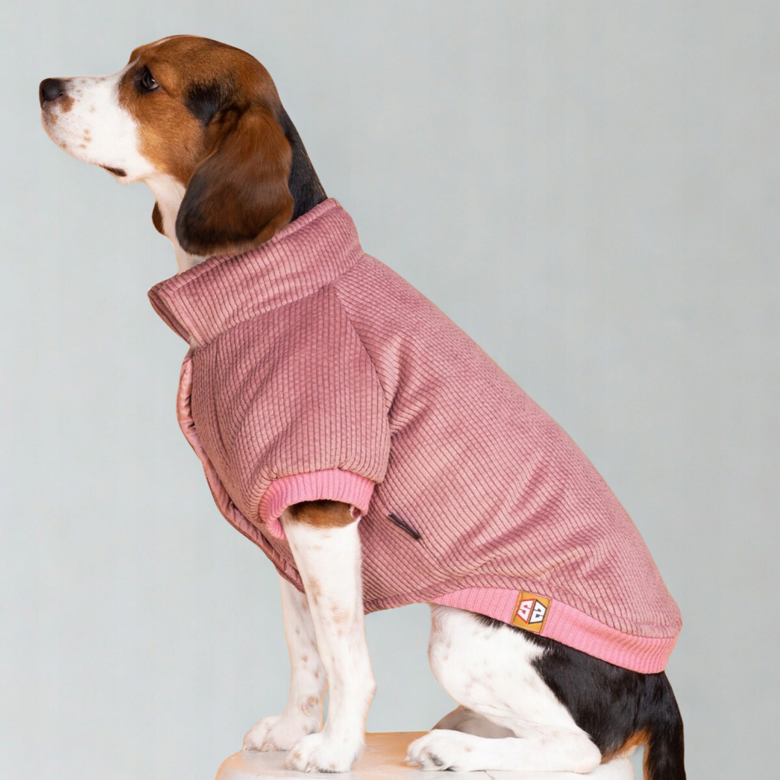 Bunda pro psa malých plemen růžová teplá elegantní S-xxl