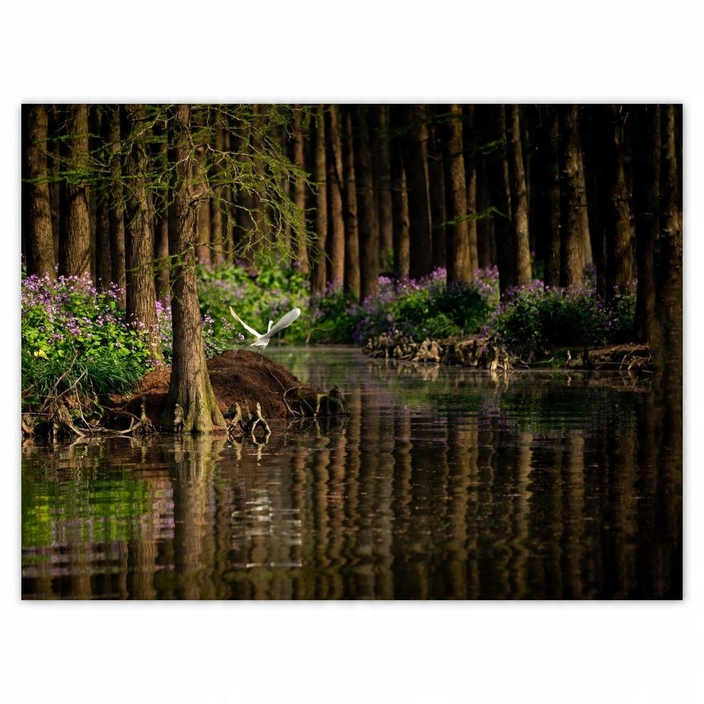

Plakat 40x30 Pejzaż Krajobraz Widoczek
