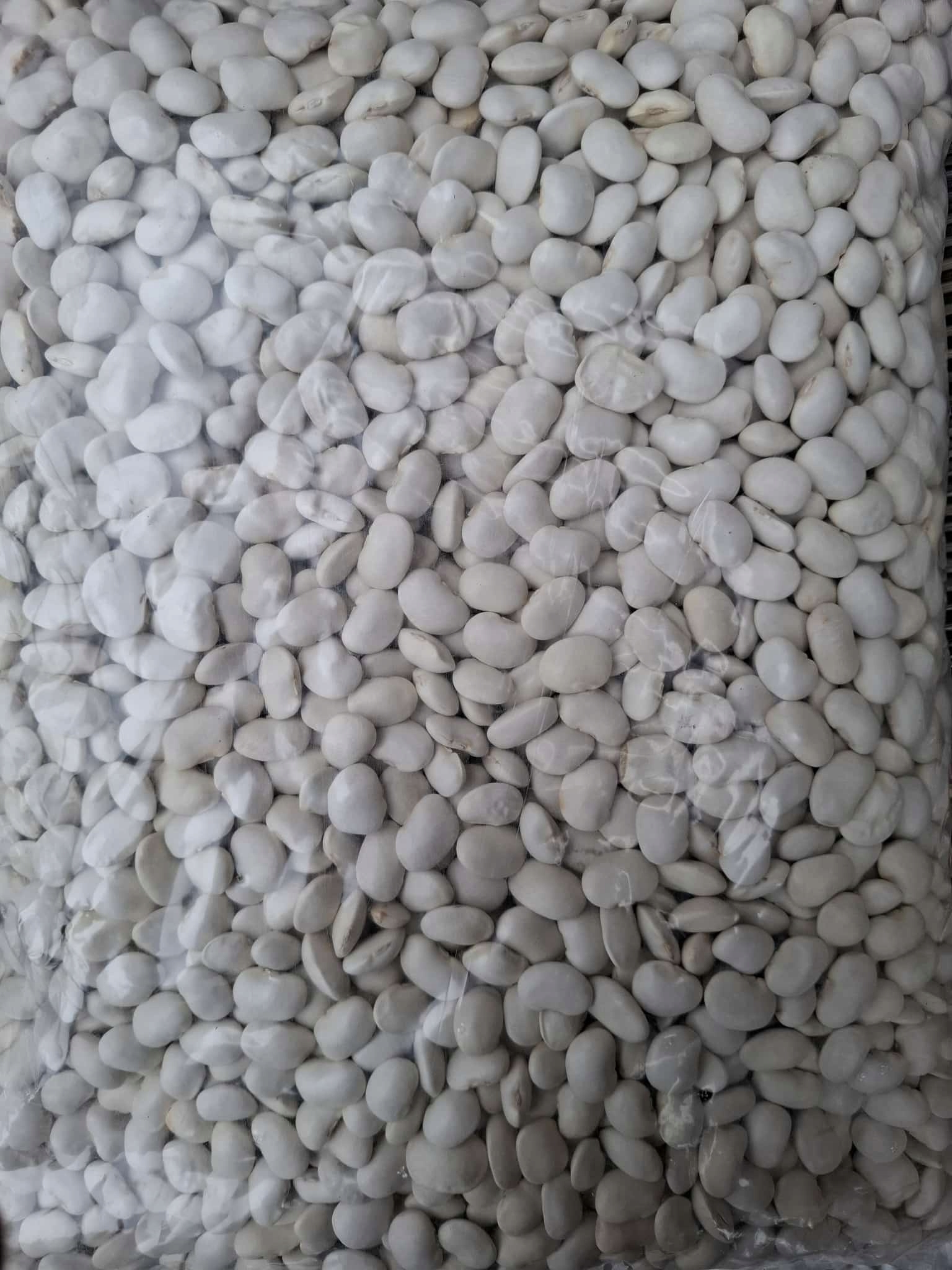 Fasola Piękny Jaś 1kg