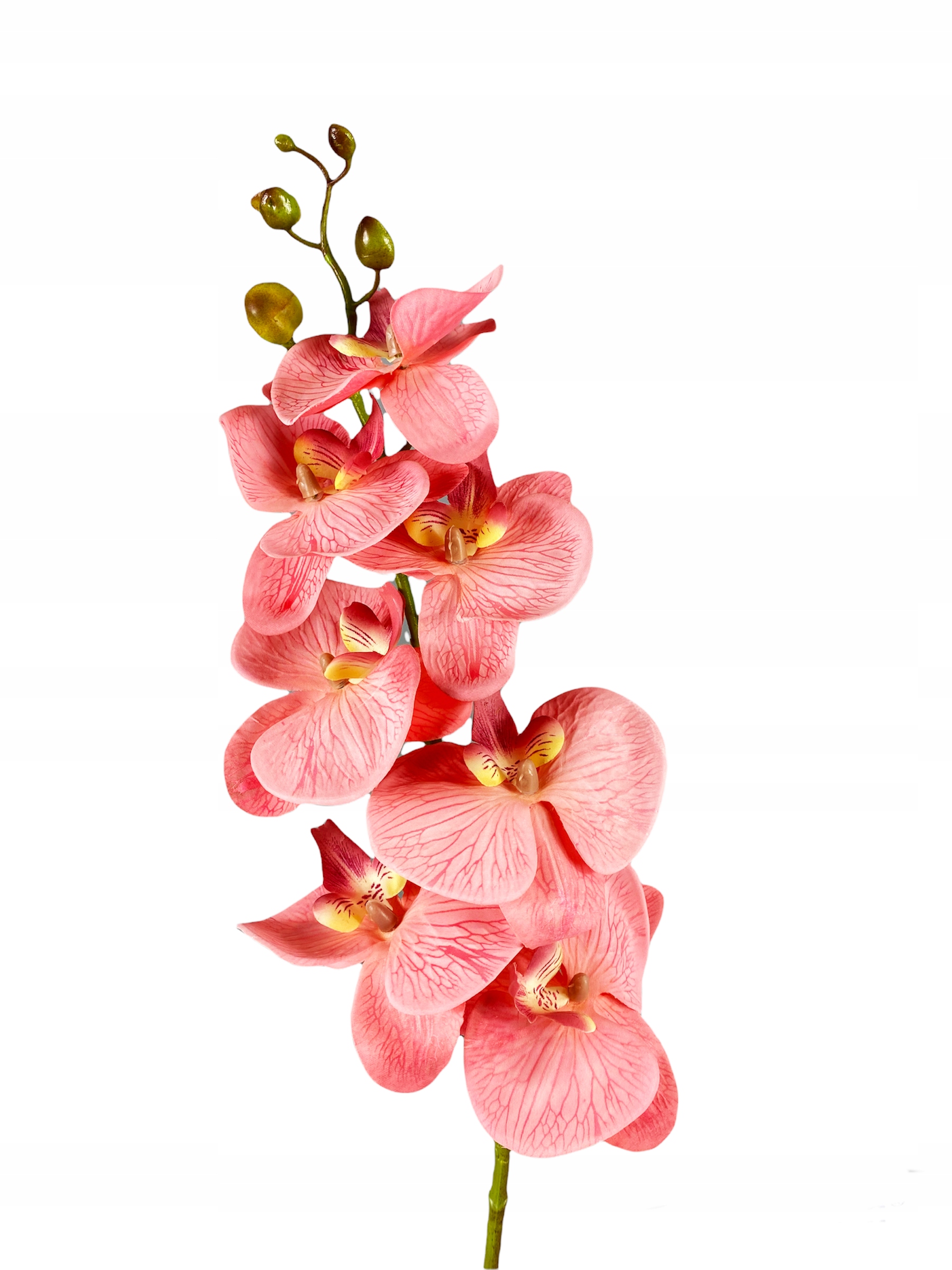 

Storczyk Malinowy Kwiaty Sztuczne Orchidea Gałązka