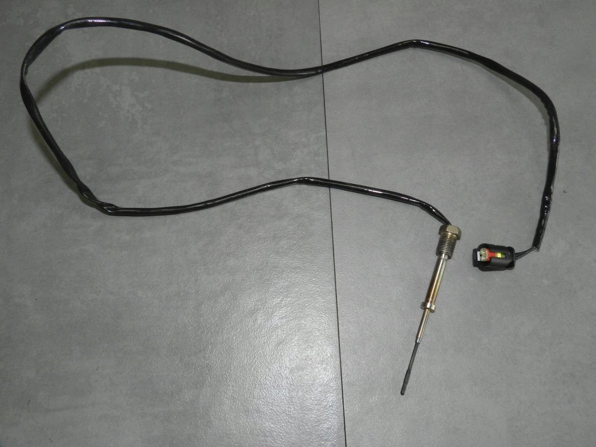 BMW X1 F48 Sensor TEMP Gase 8570121
