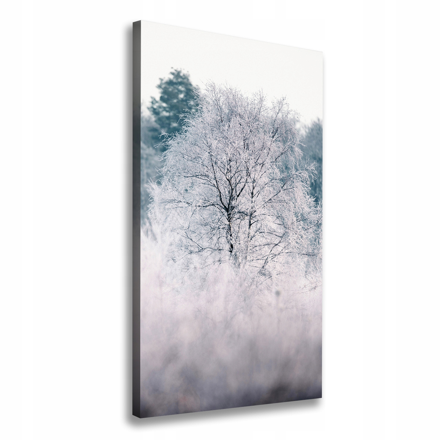 

Foto obraz na płótnie do salonu Las zimą 60x120 cm