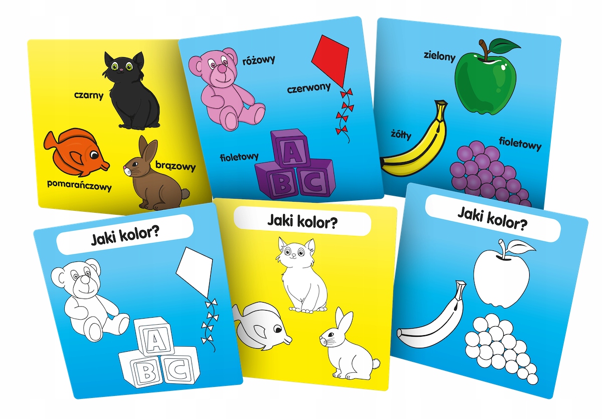 Gra BrainBox - Poznaję kolory Typ Podstawa