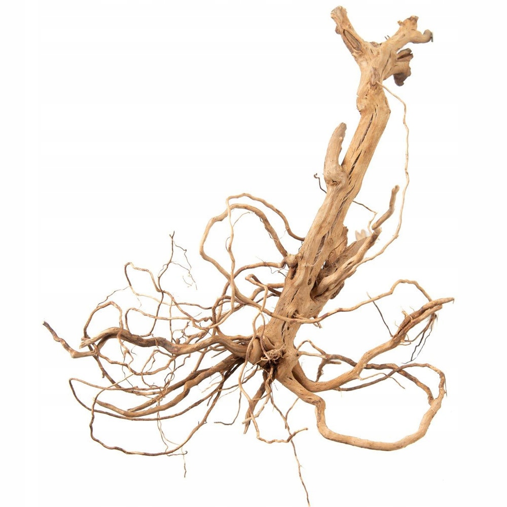 PROGROW MOSS TREE 20-40CM 1SZT. Korzeń, drewno do akwarium