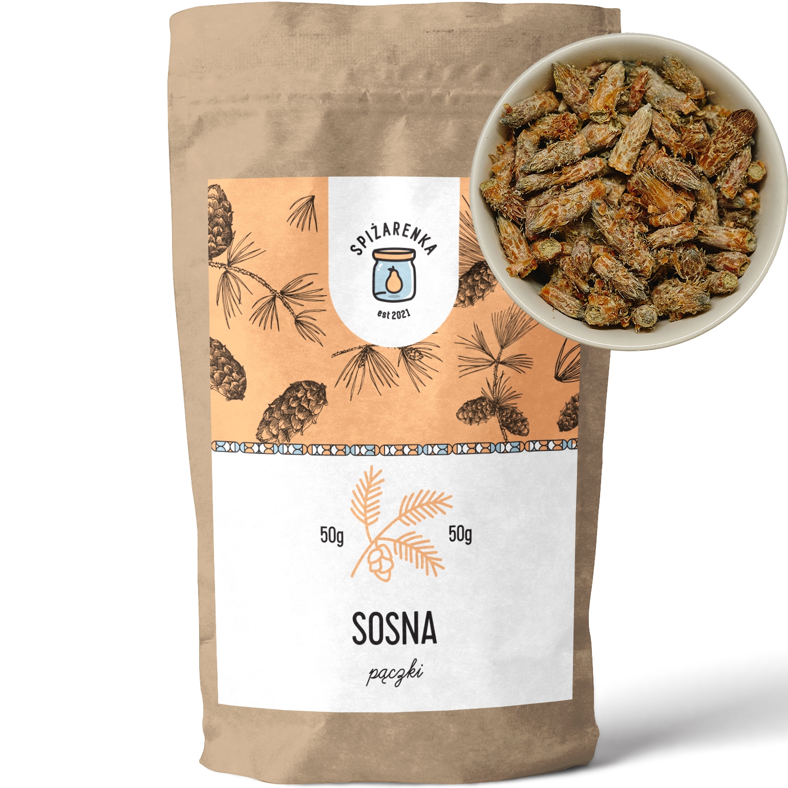 5 x Pupeny Borovice Celé Sosnové Pinus sylvestris Velký Balíček 50gSPÍŽOVÁ