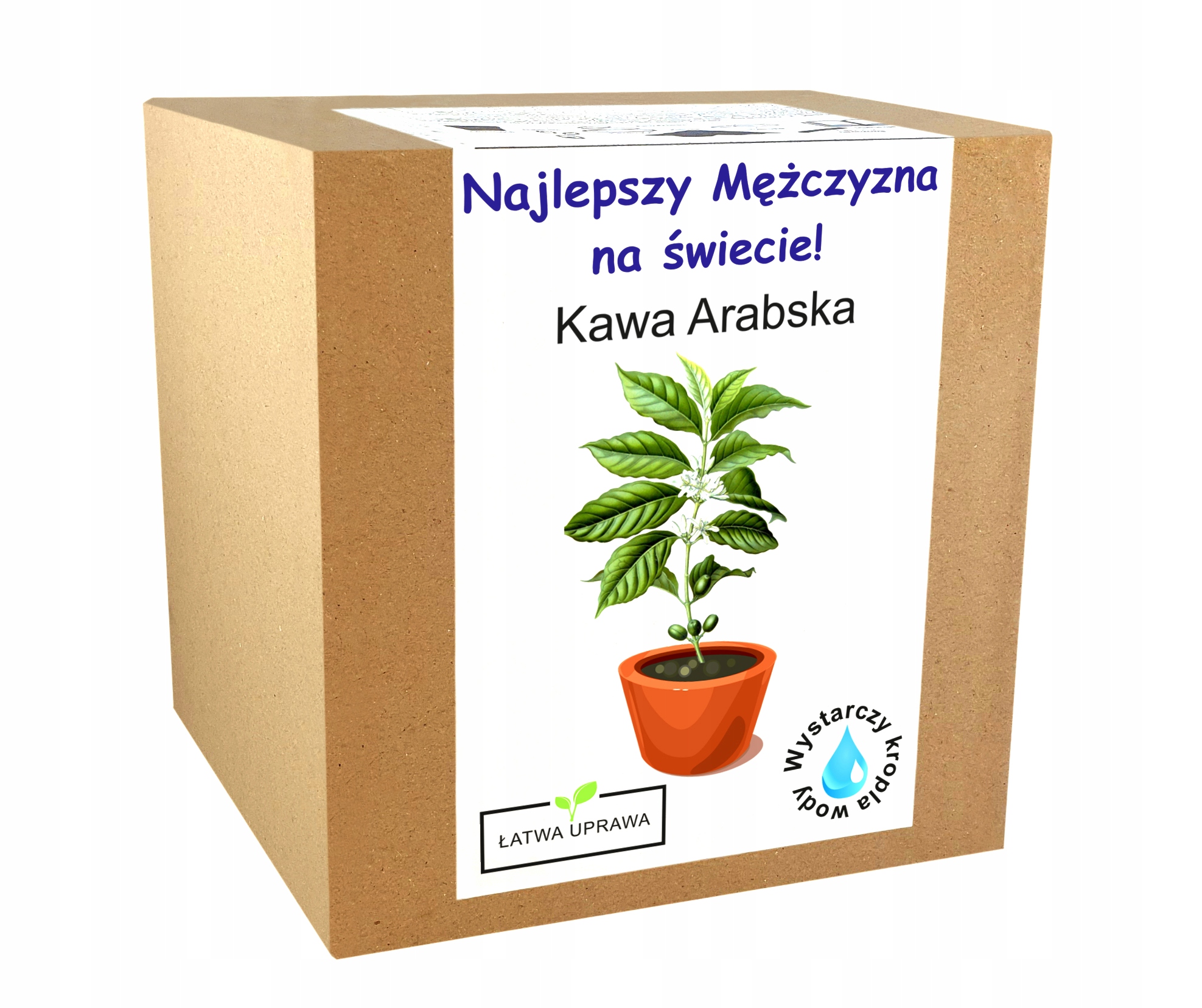

Kawa Arabica drzewo kawowe dla chłopaka
