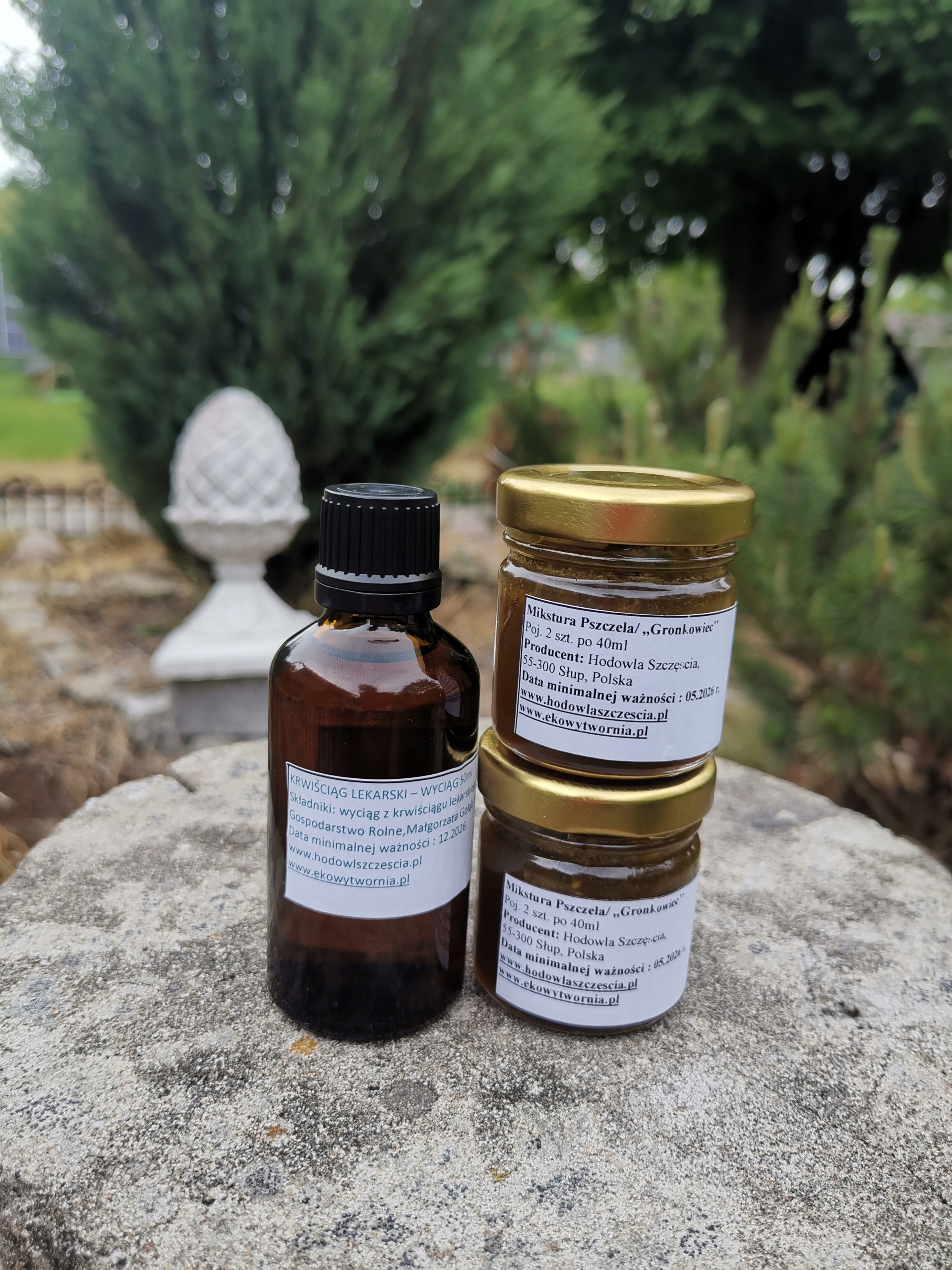 Gronkowiec Złocisty Silna Mikstura Pszczela Krwiściąg Zestaw Na Kurację