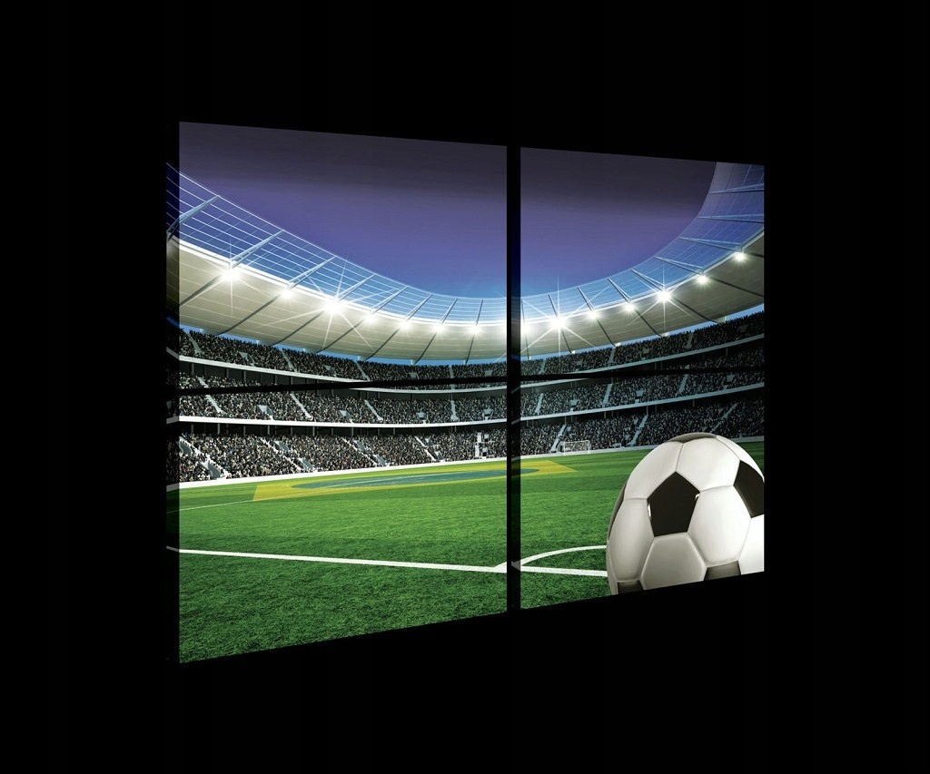 Obraz 120x80 Futbalový štadión futbalová hra športová aréna fanúšikovia