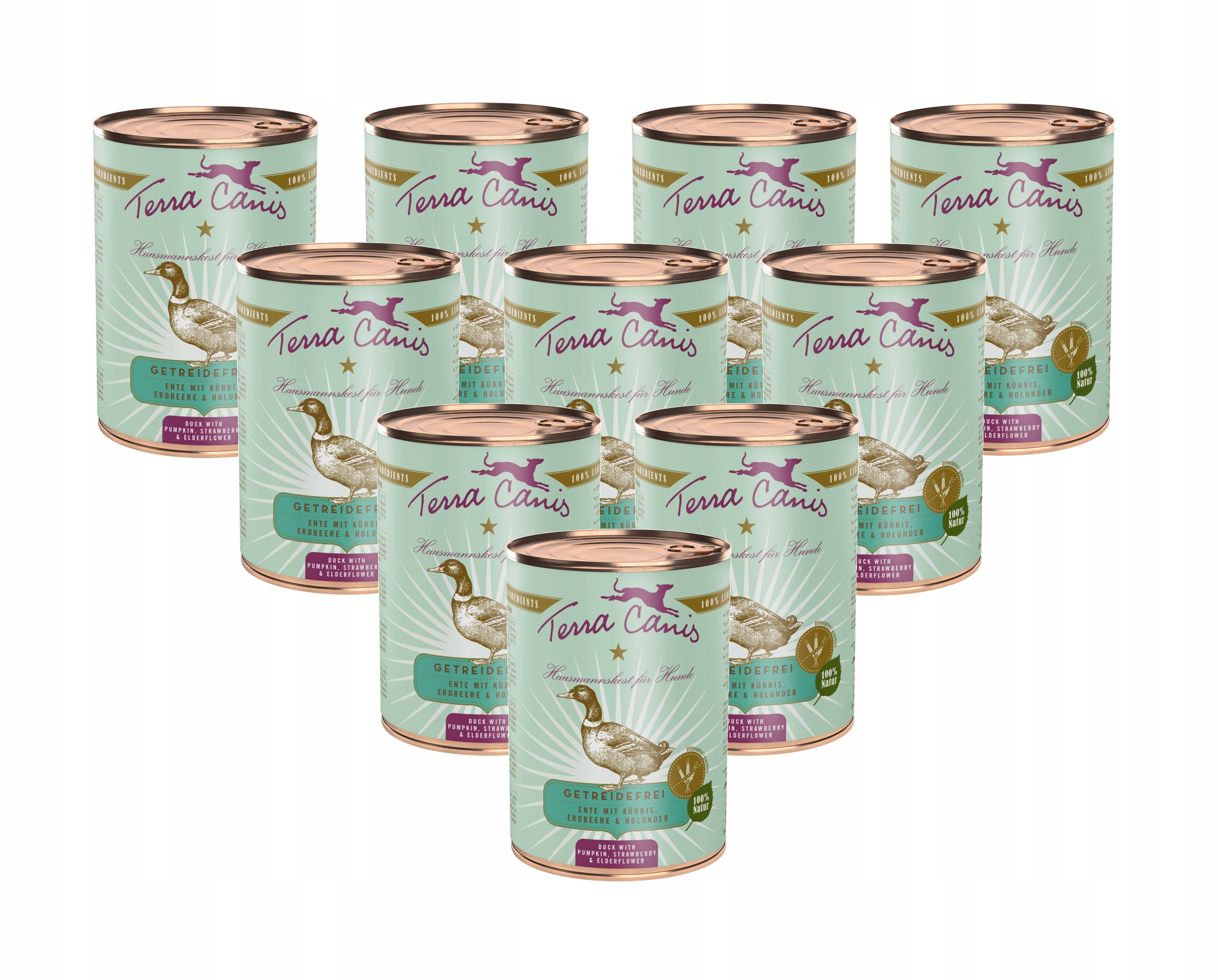 Terra Canis Kachna s dýní, jahodou 10x400 g