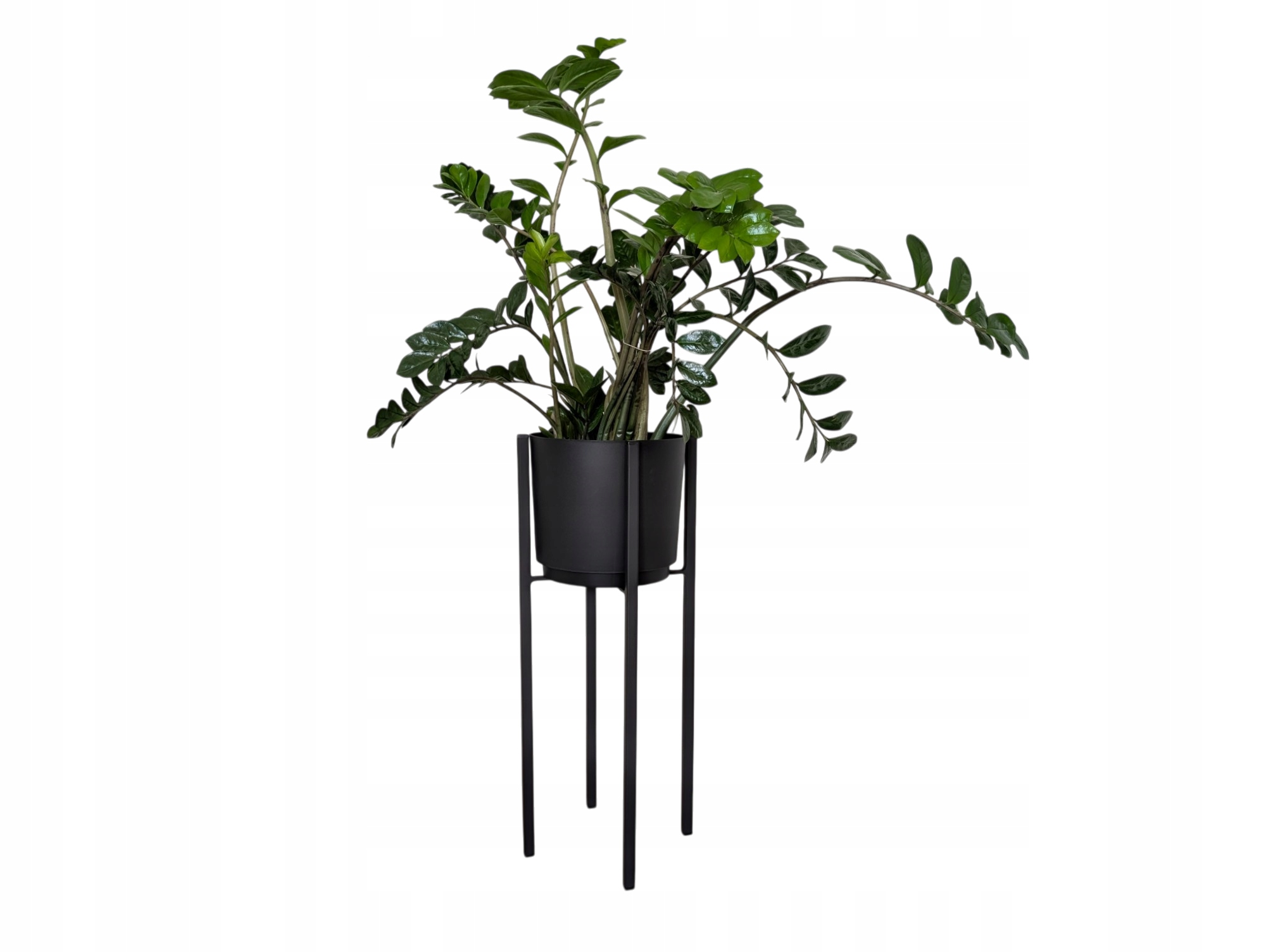 KWIETNIK STOJĄCY METALOWY NA ROŚLINY CZARNY Z DONICĄ 5 KOLORÓW WYSOKI 60CM Kolor czarny