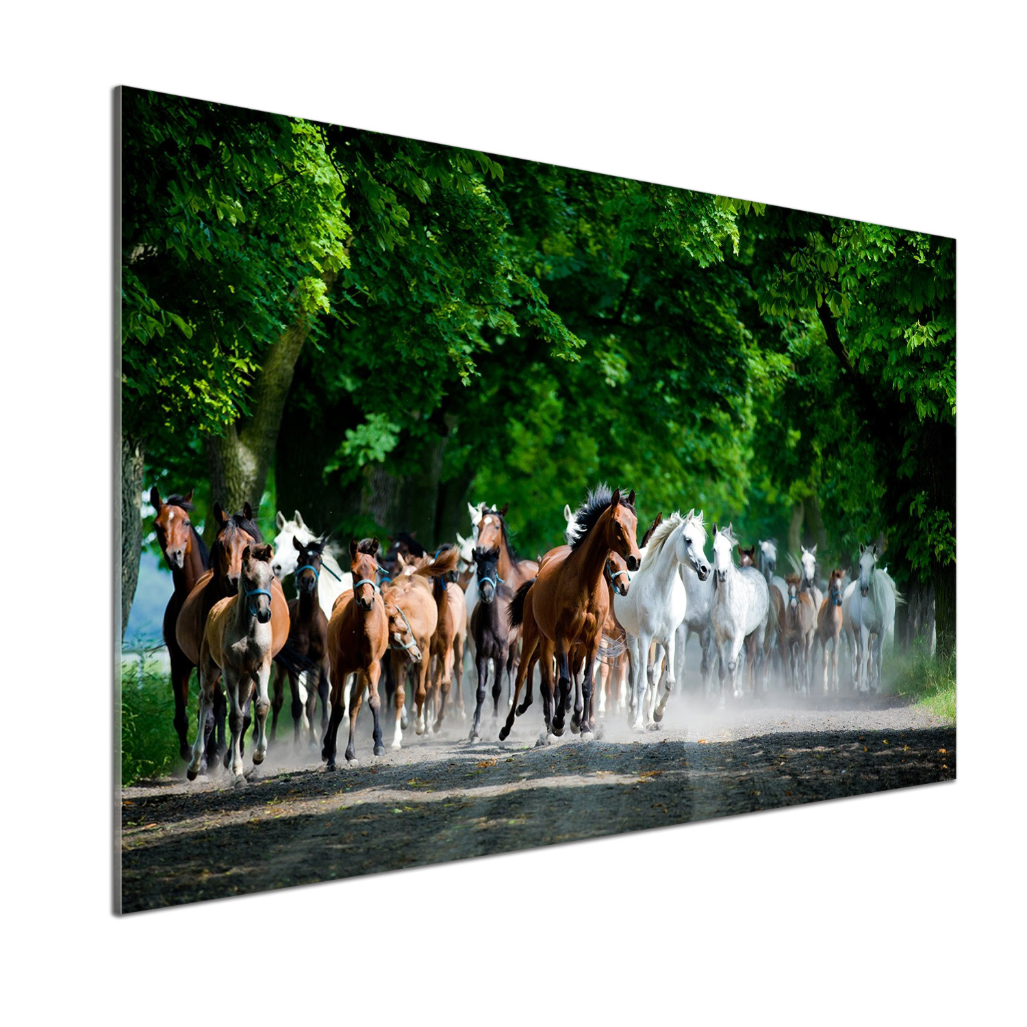 Panel do kuchyne Kone v cvale 100 x 70 cm Lepidlo