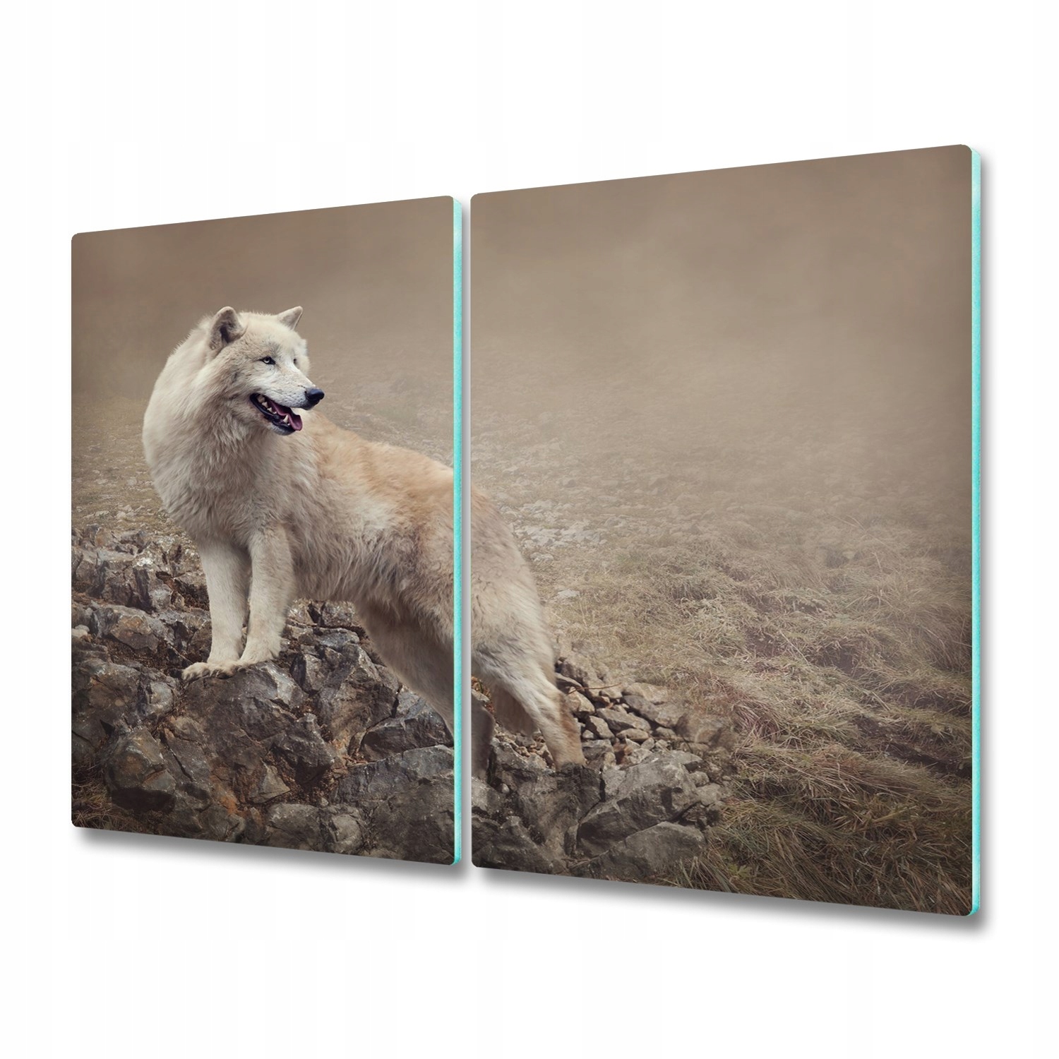 

Panel na indukcję szkło Biały wilk skała 2x30x52