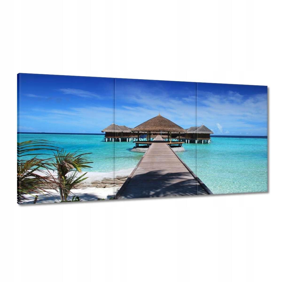 Obrazy 180x90 Tropické