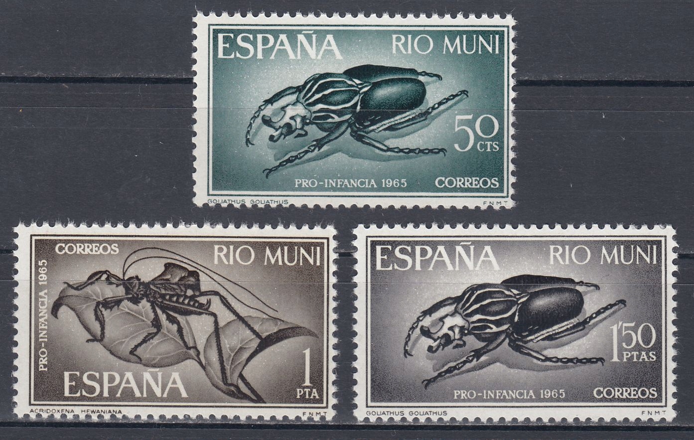 RIO MUNI - 1965 - Mi 63-65 - FAUNA, INSEKTY xx