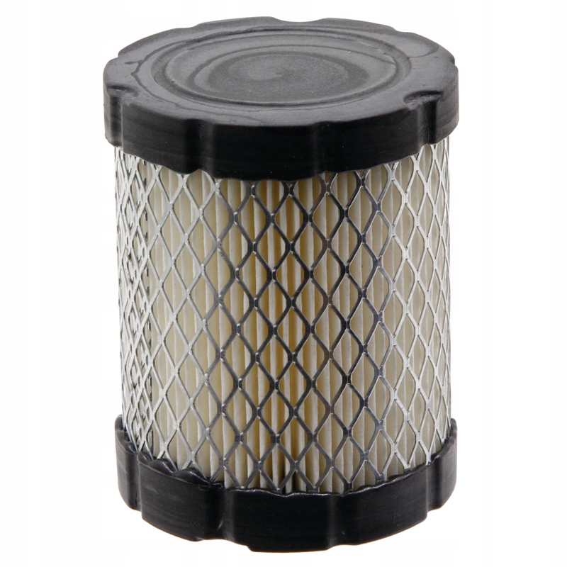 

Filtr powietrza Briggs Stratton 591583, 796032