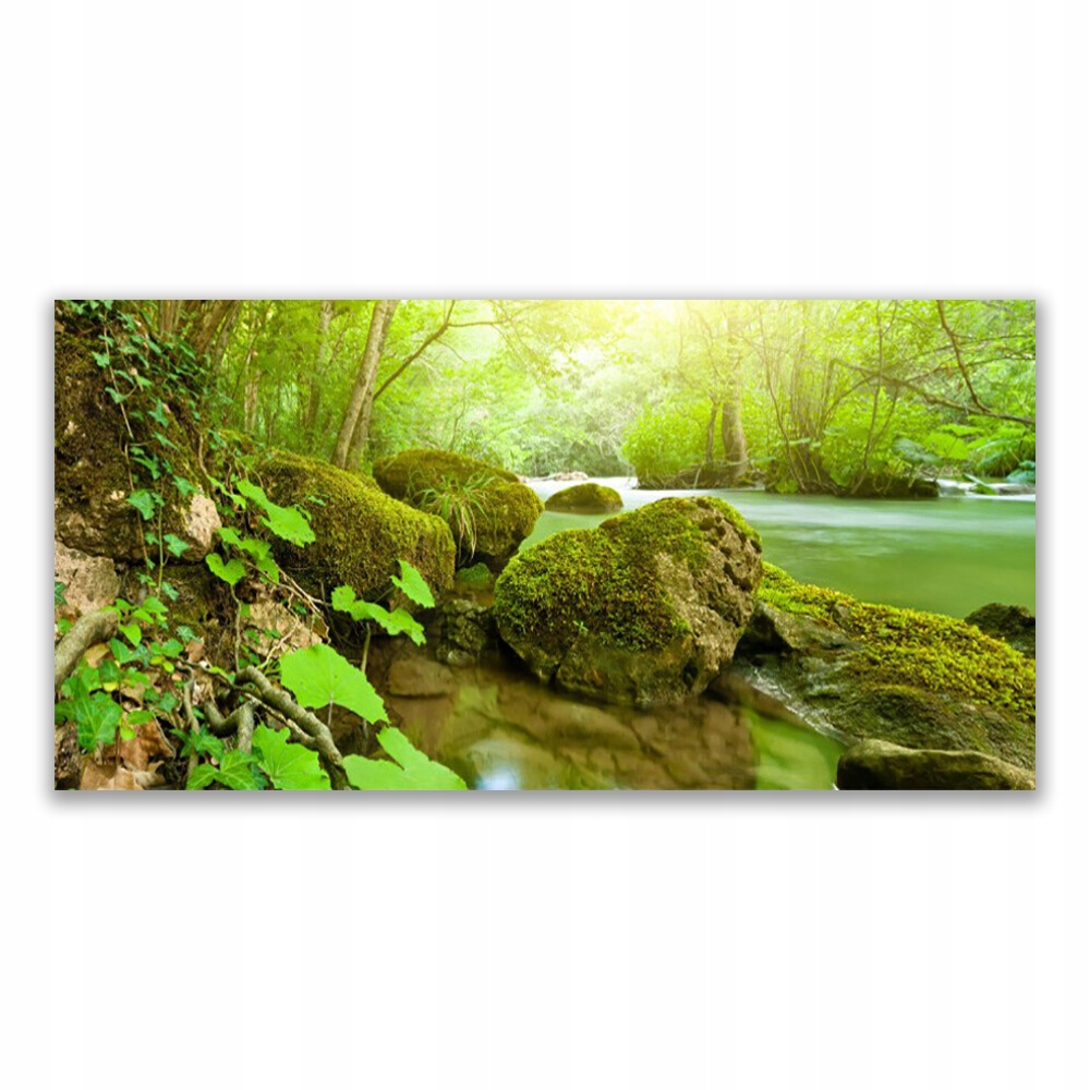 

Obraz akryl z grafiką 120x60 Jezioro Rzeka Natura