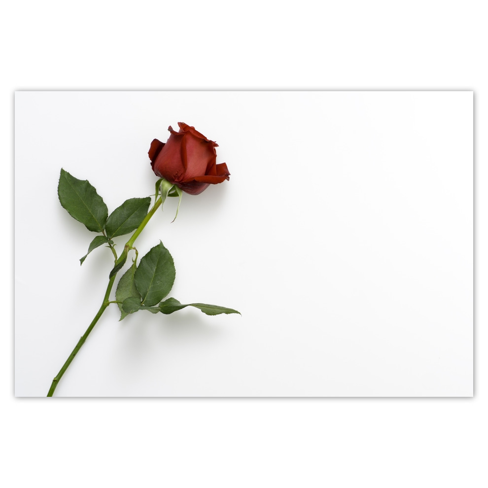 

Plakaty 93x62 Dzień Kobiet Prezent Love