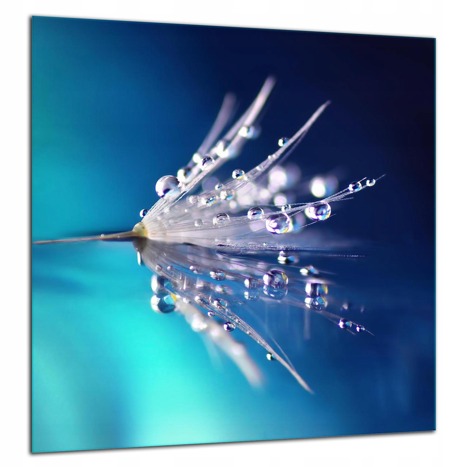 7v1 Skleněná Ochranná Deska Panel Lepidlo 60x65 Květina