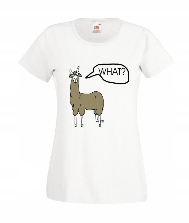 

Damska Lama Więcej Niż Jedno Zwierzę Wzory h8t