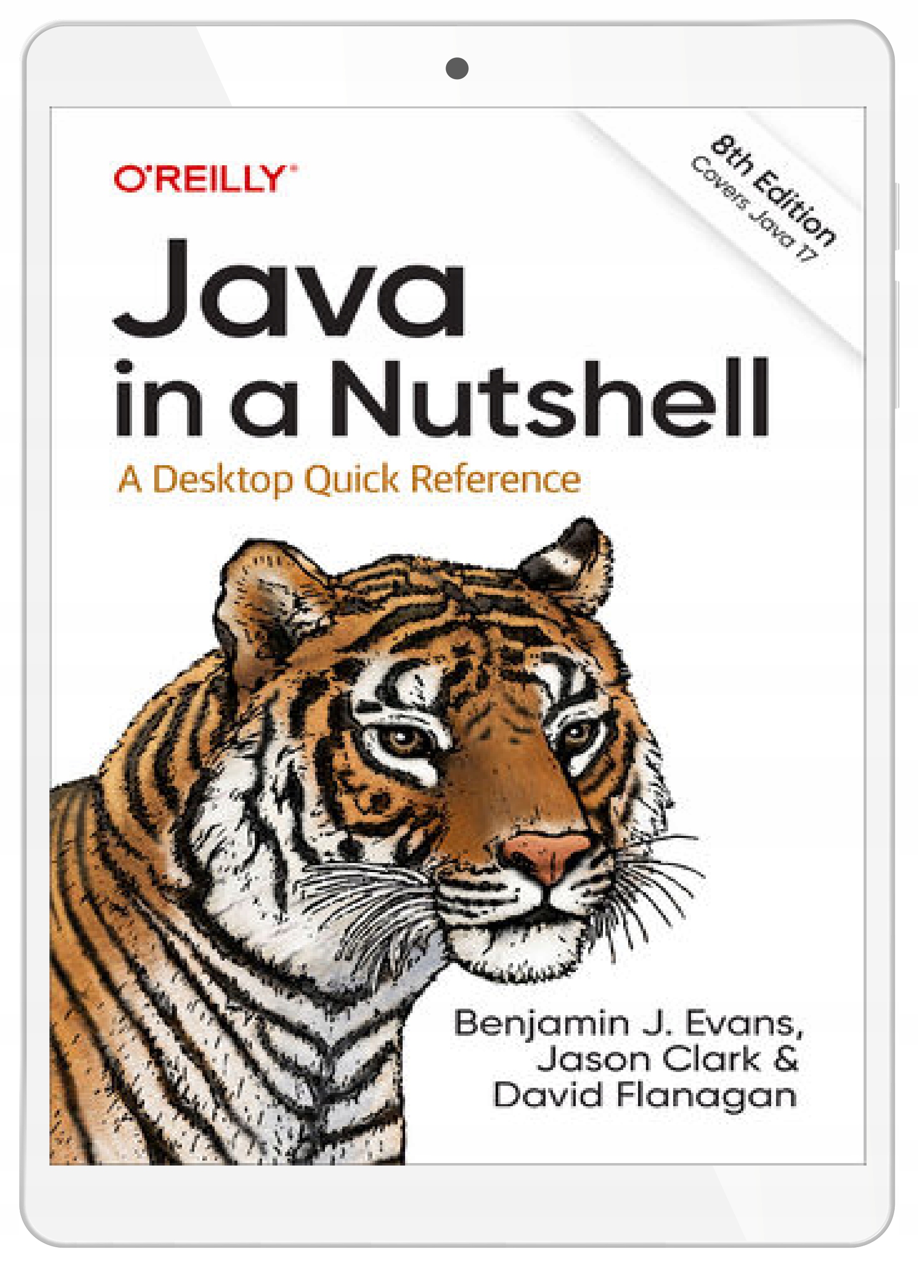 Java in a Nutshell. 8th Edition