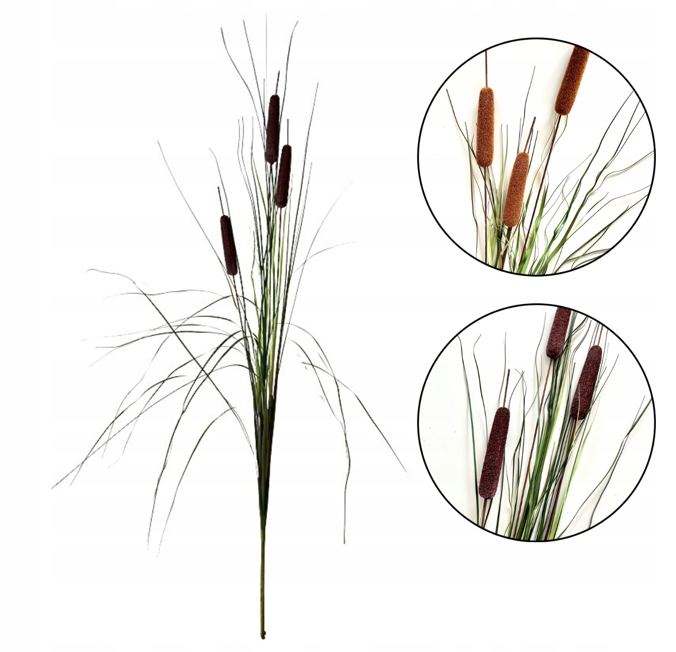 TRAWA PAMPASOWA PAŁKA WODNA TRAWY DO WAZONU TARAS