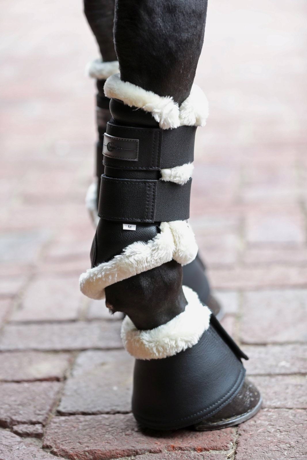 Covalliero Ochraniacze dla konia Pelisa, ze sztucznym futrem, czarny L